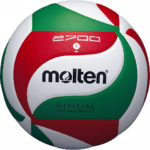 Molten Volleyball
