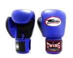 Twins Special Boxing MMA